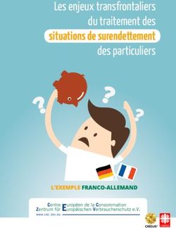Situations de surendettement - Les enjeux transfrontaliers du traitement des