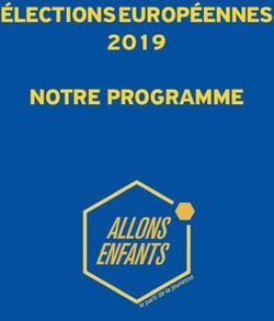 ÉLECTIONS EUROPÉENNES 2019 NOTRE PROGRAMME - Allons Enfants