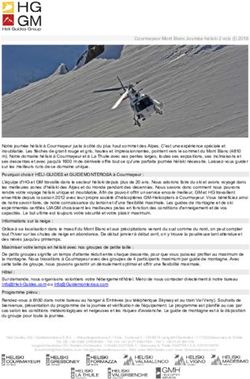 Courmayeur Mont Blanc Journ&eacute;e h&eacute;liski 2 vols (I) 2019