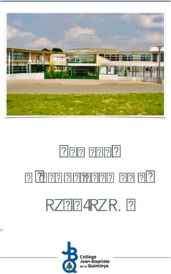 2019-2024 PROJET D'&Eacute;TABLISSEMENT - Section Internationale