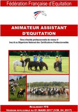 Fédération Française d'Equitation - ANIMATEUR ASSISTANT D'EQUITATION Titre à finalité professionnelle de niveau V - Centre Équestre Bretagne