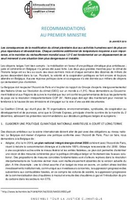 RECOMMANDATIONS AU PREMIER MINISTRE - Cap 2030