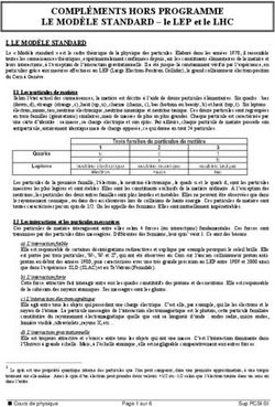 COMPLÉMENTS HORS PROGRAMME - LE MODÈLE STANDARD - le LEP et le LHC