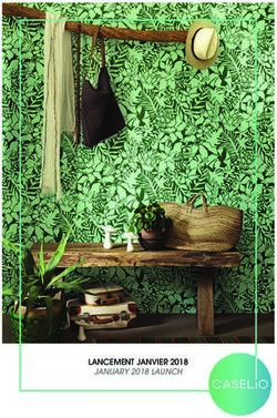 LANCEMENT JANVIER 2018 - JANUARY 2018 LAUNCH - Belbol ...