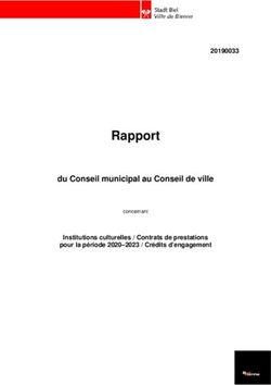 Rapport du Conseil municipal au Conseil de ville 20190033