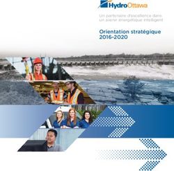 Orientation stratégique 2016-2020 - Un partenaire d'excellence dans un avenir énergétique intelligent - Hydro Ottawa