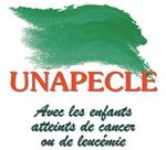 AU PR&Eacute;SIDENT DE LA R&Eacute;PUBLIQUE - 4E RAPPORT 2014-2019 - La Documentation fran&ccedil;aise