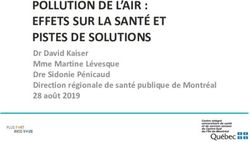 POLLUTION DE L'AIR : EFFETS SUR LA SANTÉ ET PISTES DE SOLUTIONS - Dr David Kaiser Mme Martine Lévesque Dre Sidonie Pénicaud Direction régionale de ...