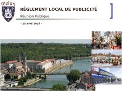 RÈGLEMENT LOCAL DE PUBLICITÉ - Réunion Publique - 25 avril 2019- Présentation Réunion ...