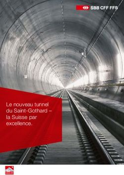 Le nouveau tunnel du Saint-Gothard - la Suisse par excellence - SBB