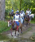 Saison Sportive 2020 Endurance - F&eacute;d&eacute;ration Fran&ccedil;aise d'&Eacute;quitation - FFE.com