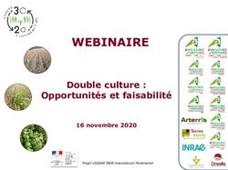 WEBINAIRE Double culture : Opportunit&eacute;s et faisabilit&eacute; - 16 novembre 2020 - RAIN