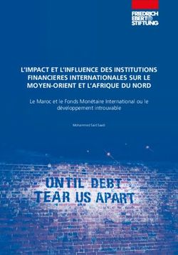 L'IMPACT ET L'INFLUENCE DES INSTITUTIONS FINANCIERES INTERNATIONALES SUR LE MOYEN-ORIENT ET L'AFRIQUE DU NORD - Le Maroc et le Fonds Mon&eacute;taire ...