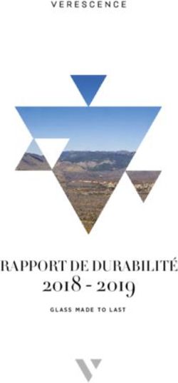 2018 2019 RAPPORT DE DURABILITÉ - GLASS MADE TO LAST - Verescence