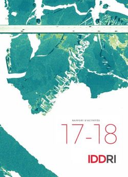 RAPPORT D'ACTIVITÉS - Iddri
