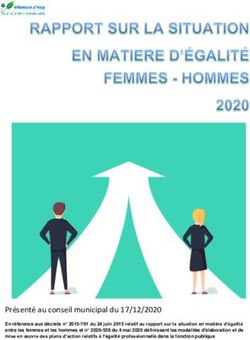 Pr&eacute;sent&eacute; au conseil municipal du 17/12/2020 - Ville de Villeneuve d'Ascq