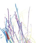 Instaurer une politique de la petite enfance - Un investissement pour l'avenir &Eacute;ducation et accueil des jeunes enfants / Encouragement pr&eacute;coce en ...