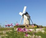 GARE AUX SECRETS ! DE LA ROCHELLE À MONTENDRE - La Nouvelle-Aquitaine autrement avec TER