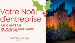 AU CHÂTEAU DE MEUNG SUR LOIRE - DÉCEMBRE 2021 - Château de Meung-sur-Loire