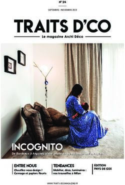 Incognito - Traits D'co Magazine