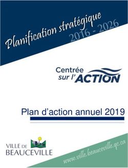 Plan d'action annuel 2019 - Ville de Beauceville