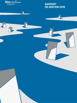 RAPPORT DE GESTION 2016 - aycom