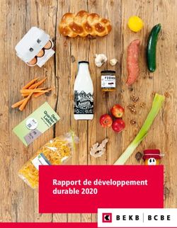 Rapport de d&eacute;veloppement durable 2020 - BCBE