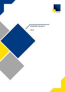 RAPPORT PILIER III 2018 - EFA