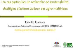 Un cas particulier de recherche de soutenabilité: stratégies d'acteurs autour des agro matériaux