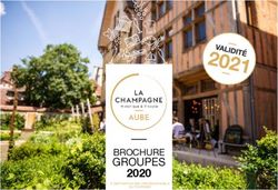 GROUPES BROCHURE 2020 - Aube Champagne