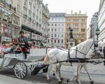 JOYAUX DE L'EUROPE CENTRALE : VIENNE - BUDAPEST - BRATISLAVA - PRAGUE PROGRAMME EN TOUT INCLUS! - Voyage Louise Drouin