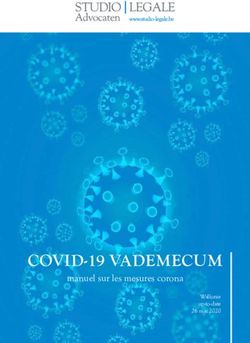 COVID-19 VADEMECUM manuel sur les mesures corona - Wallonie up-to-date 26 mai 2020 - Studio Legale Advocaten