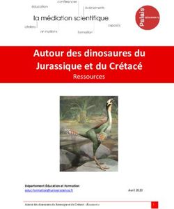 Autour des dinosaures du Jurassique et du Cr&eacute;tac&eacute; - Ressources - D&eacute;partement &Eacute;ducation et Formation - Palais de la d&eacute;couverte