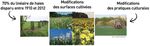 GIE Elevages ADA Bretagne - 150 apiculteurs professionnels détenteurs de 30 000 ruches - GIE Bretagne