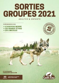 SORTIES GROUPES 2021 ADULTES & ENFANTS - LE NOUVEAU MONDE LES GRANDS T&Eacute;TRAS LES LIMICOLES