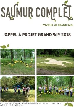 Appel à projet Grand Air 2018 - Vivons le Grand Air - saumur.org