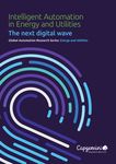 Territoire Intelligent - Mettre les citoyens au coeur des initiatives de la transformation num&eacute;rique des territoires - Capgemini