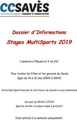Stages MultiSports 2019 - Dossier d'Informations - Communauté des Communes du ...