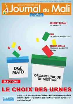 LE CHOIX DES URNES &Eacute;LECTIONS - Journal du Mali