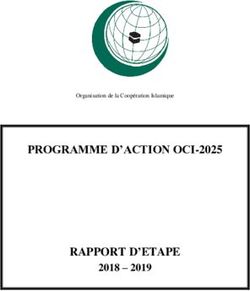 PROGRAMME D'ACTION OCI-2025 RAPPORT D'ETAPE 2018 - 2019 - Organisation of ...