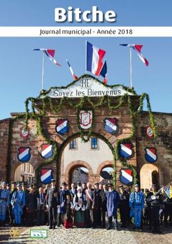 Bitche Journal municipal - Année 2018
