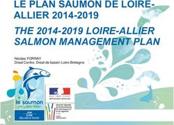LE PLAN SAUMON DE LOIRE-ALLIER 2014-2019 THE 2014-2019 LOIRE-ALLIER SALMON MANAGEMENT PLAN - Nicolas FORRAY Dreal Centre, Dreal de bassin ...