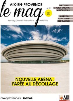 NOUVELLE ARÉNA : PARÉE AU DÉCOLLAGE - n 21 - aixenprovence.fr