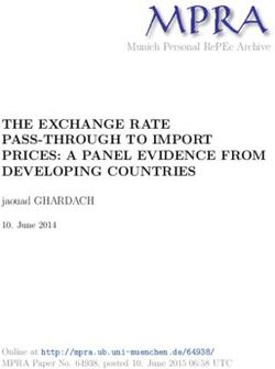 MPRA THE EXCHANGE RATE PASS-THROUGH TO IMPORT PRICES: A PANEL EVIDENCE FROM DEVELOPING COUNTRIES