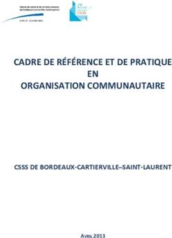 CADRE DE RÉFÉRENCE ET DE PRATIQUE EN ORGANISATION COMMUNAUTAIRE - CSSS DE BORDEAUX-CARTIERVILLE-SAINT-LAURENT