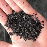 Biochar et crédits-carbone - 2021, année du biochar - Pro-Natura International