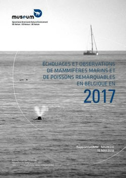 2017 &Eacute;CHOUAGES ET OBSERVATIONS DE MAMMIF&Egrave;RES MARINS ET DE POISSONS REMARQUABLES EN BELGIQUE EN - Marine Mammals