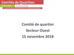 Comit&eacute; de quartier Secteur Ouest 15 novembre 2018 - Echirolles