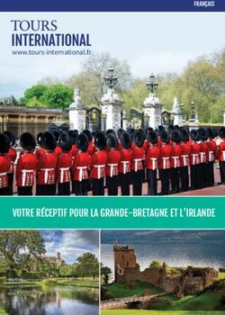 VOTRE RÉCEPTIF POUR LA GRANDE-BRETAGNE ET L'IRLANDE - FRANÇAIS www.tours-international.fr