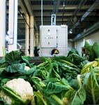 JDN MINI FOOD GRADE Propreté - fiabilité - durabilité La nouvelle référence pour le secteur agroalimentaire - JD Neuhaus